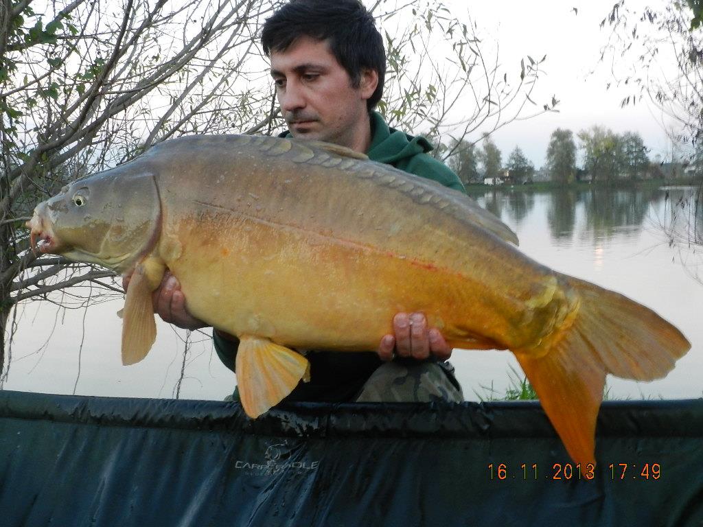 15 noiembrie 2013 - dscn1802.JPG